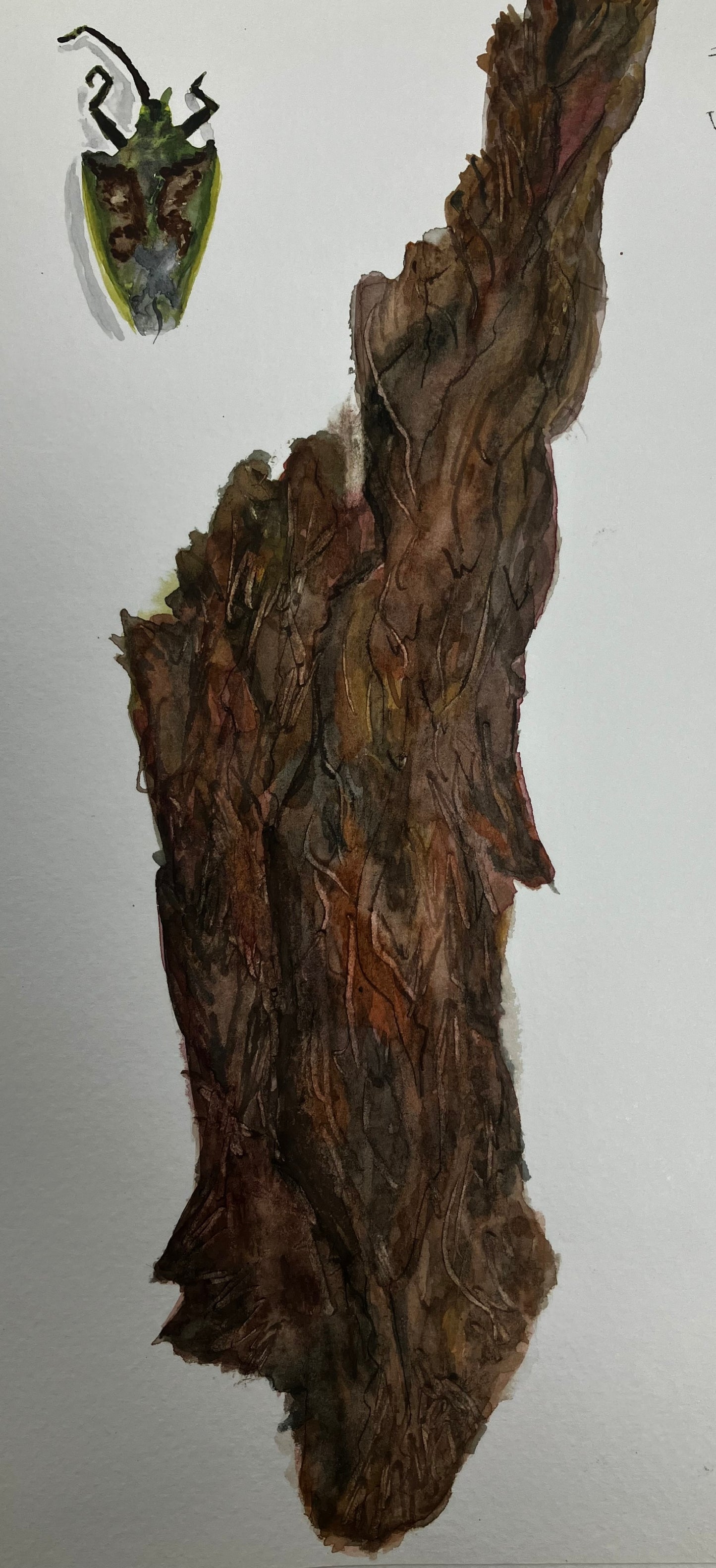 Weekly Adult Art Classes – January to March 2026